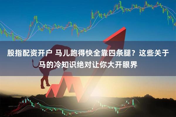股指配资开户 马儿跑得快全靠四条腿？这些关于马的冷知识绝对让你大开眼界