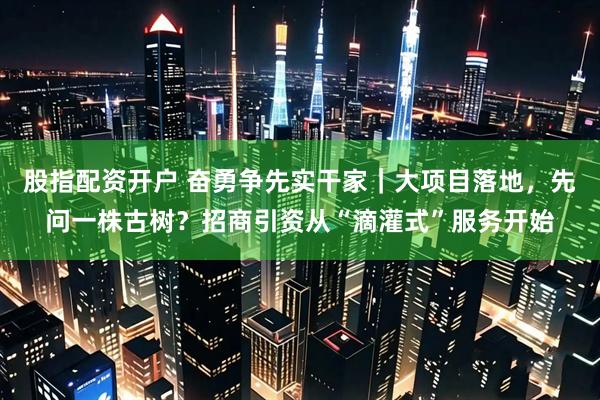 股指配资开户 奋勇争先实干家｜大项目落地，先问一株古树？招商引资从“滴灌式”服务开始