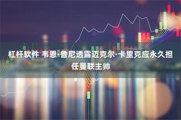 杠杆软件 韦恩·鲁尼透露迈克尔·卡里克应永久担任曼联主帅