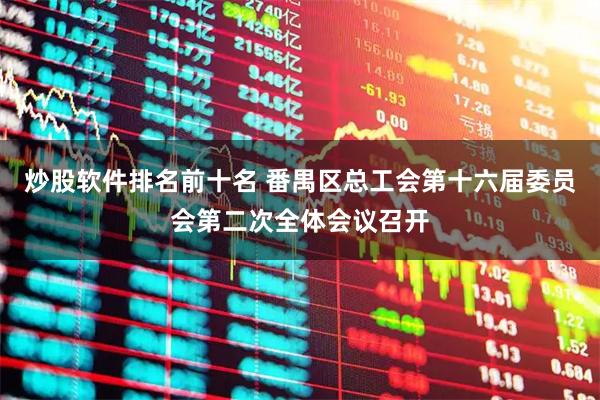 炒股软件排名前十名 番禺区总工会第十六届委员会第二次全体会议召开